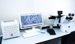 Анализатор структуры SIAMS